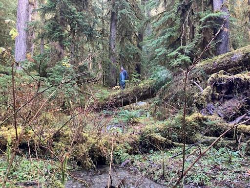 John Kramer standing on a log